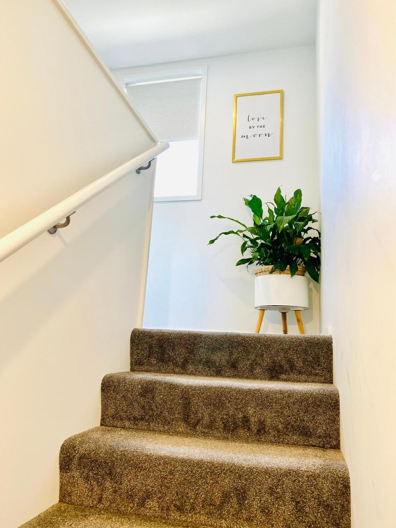 Perfect Modern Townhouse Cbd Christchurch Buitenkant foto